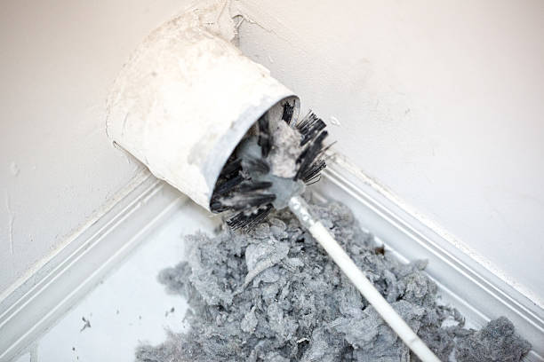 Best Air Vent Cleaning Services  in Daytona Beach, FL